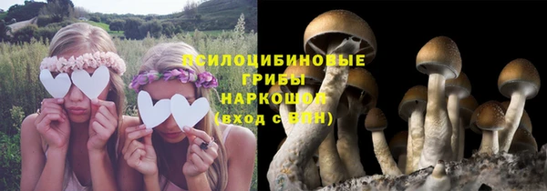 твердый Киреевск