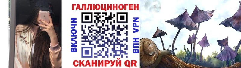 Псилоцибиновые грибы Psilocybe  даркнет сайт  Бирск 