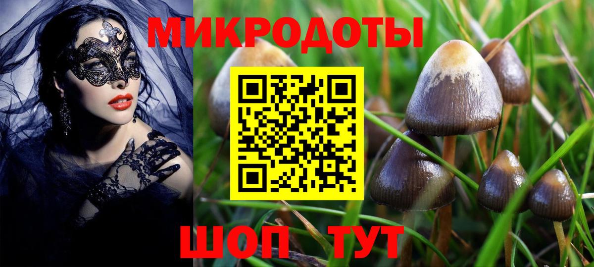 Галлюциногенные грибы GOLDEN TEACHER Бирск